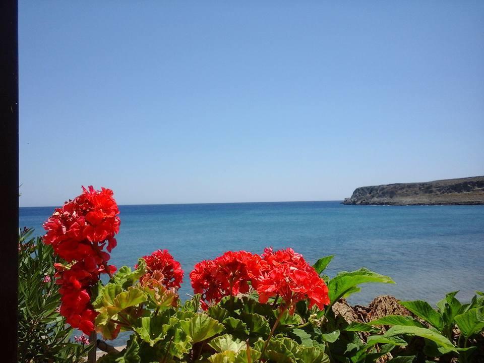 Dimitra Apartments Zakros City 外观 照片